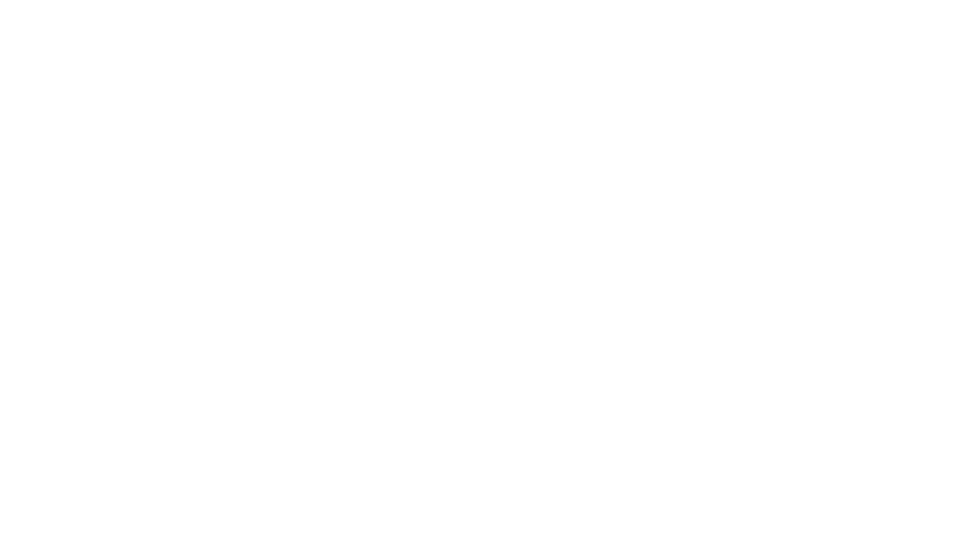 Levi Party Rental
